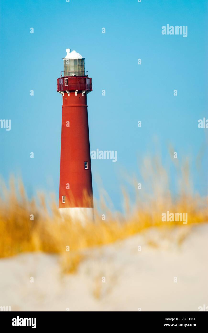 Faro di Barnegat in una giornata invernale di uccelli rossi Foto Stock