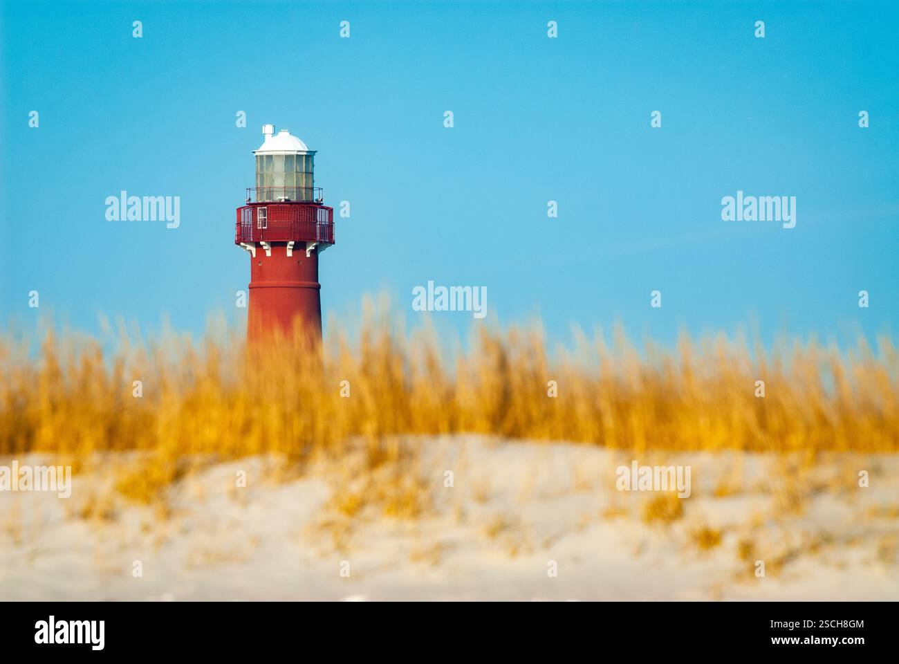 Faro di Barnegat con dune di sabbia ricoperte di erba in una giornata di uccelli rossi Foto Stock