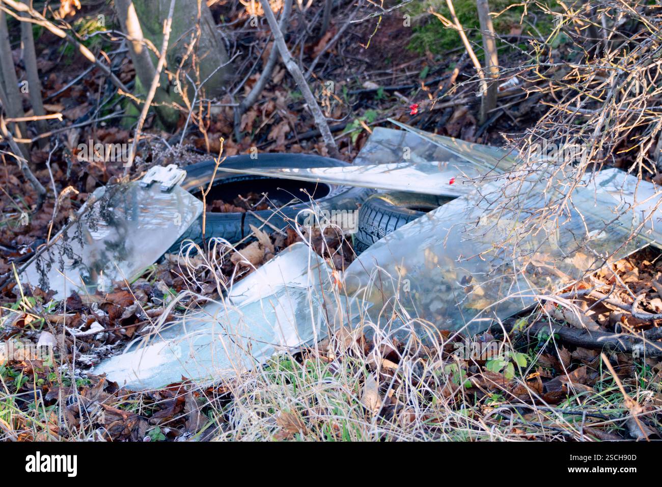 Vecchi pneumatici per auto e vetri rotti lasciati in natura. Foreste inquinate, inquinamento della natura con spazzatura. Problema ambientale relativo allo scarico dei rifiuti Foto Stock