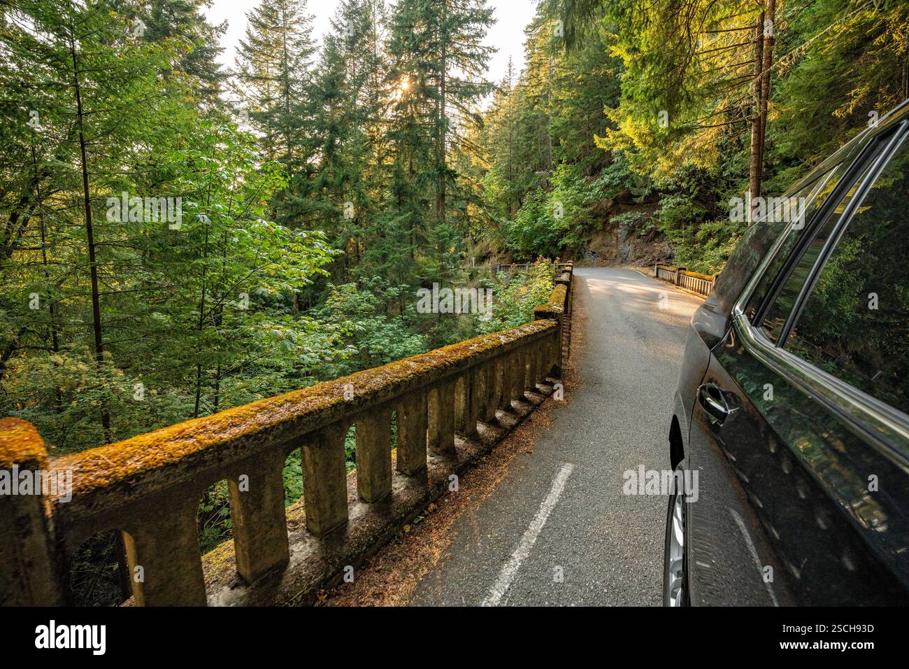 Viste panoramiche dall'isola di Orcas, Washington Foto Stock