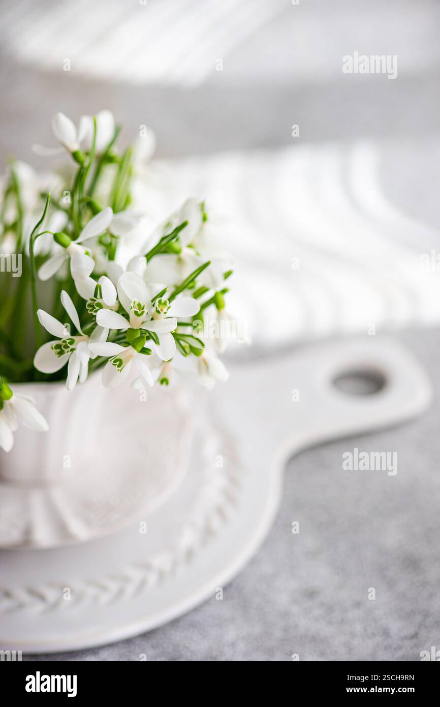 Fresche gocce di neve primaverili in un vaso di ceramica bianca, elegantemente esposto su una tavola di presentazione della cucina. La disposizione semplice cattura l'essenza di sp Foto Stock