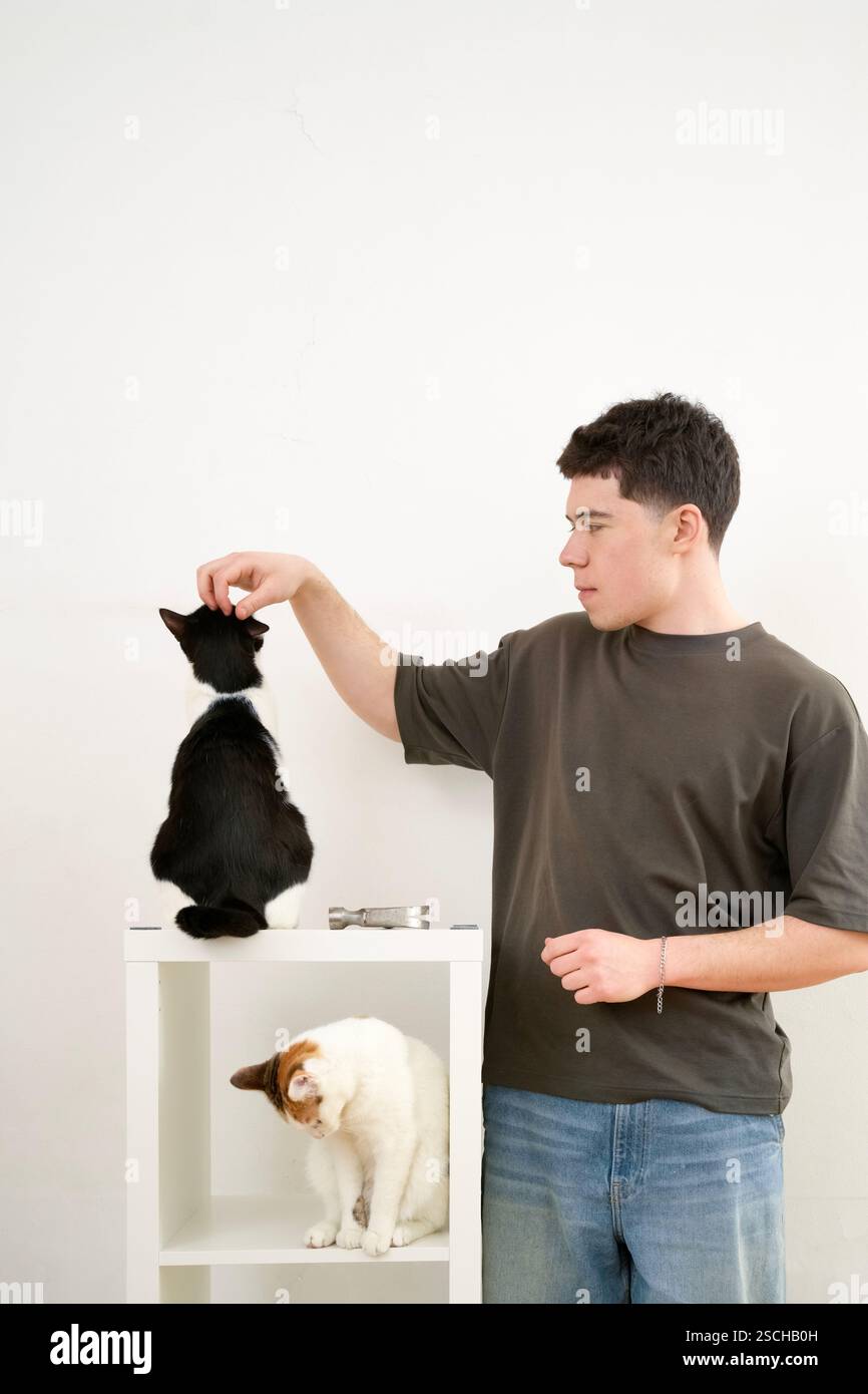 Un giovane si impegna giocosamente con due gatti, uno nero e uno bianco, mentre assembla un ripiano bianco per mobili. Foto Stock