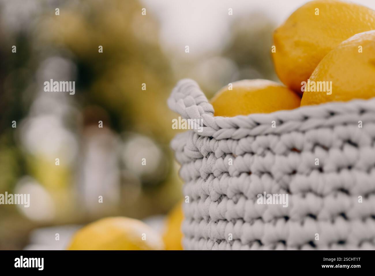 Primo piano di un cestino lavorato a mano con limoni freschi in una luce naturale soffusa Foto Stock