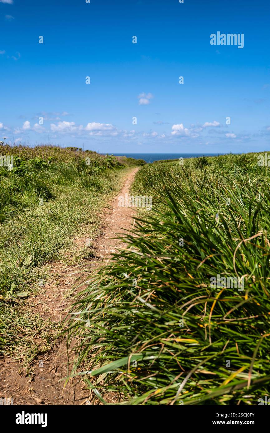 Il vialetto sterrato e ben usurato ai margini di un campo agricolo a West Pentire sulla costa di Newquay in Cornovaglia nel Regno Unito. Foto Stock