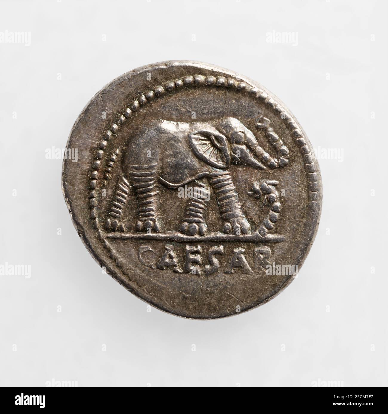 Denario;Elefante calpestando un Ketos (Drago marino), i secolo a.C. ulteriori informazioni: Dritto: Emblemi pontifici tra cui un culullus (vaso a forma di corno), aspergillum (bastone spruzzatore per acqua Santa), ascia e apice (teschio sormontato con un pezzo di punta Foto Stock