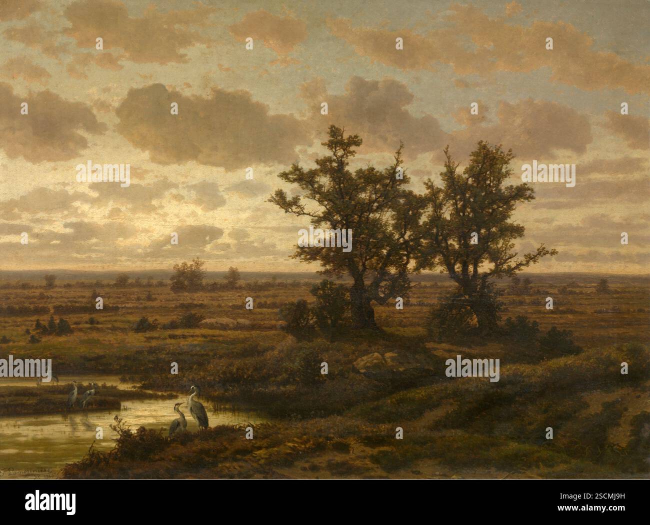 Fen nel Kempen, 1865 anni. Foto Stock