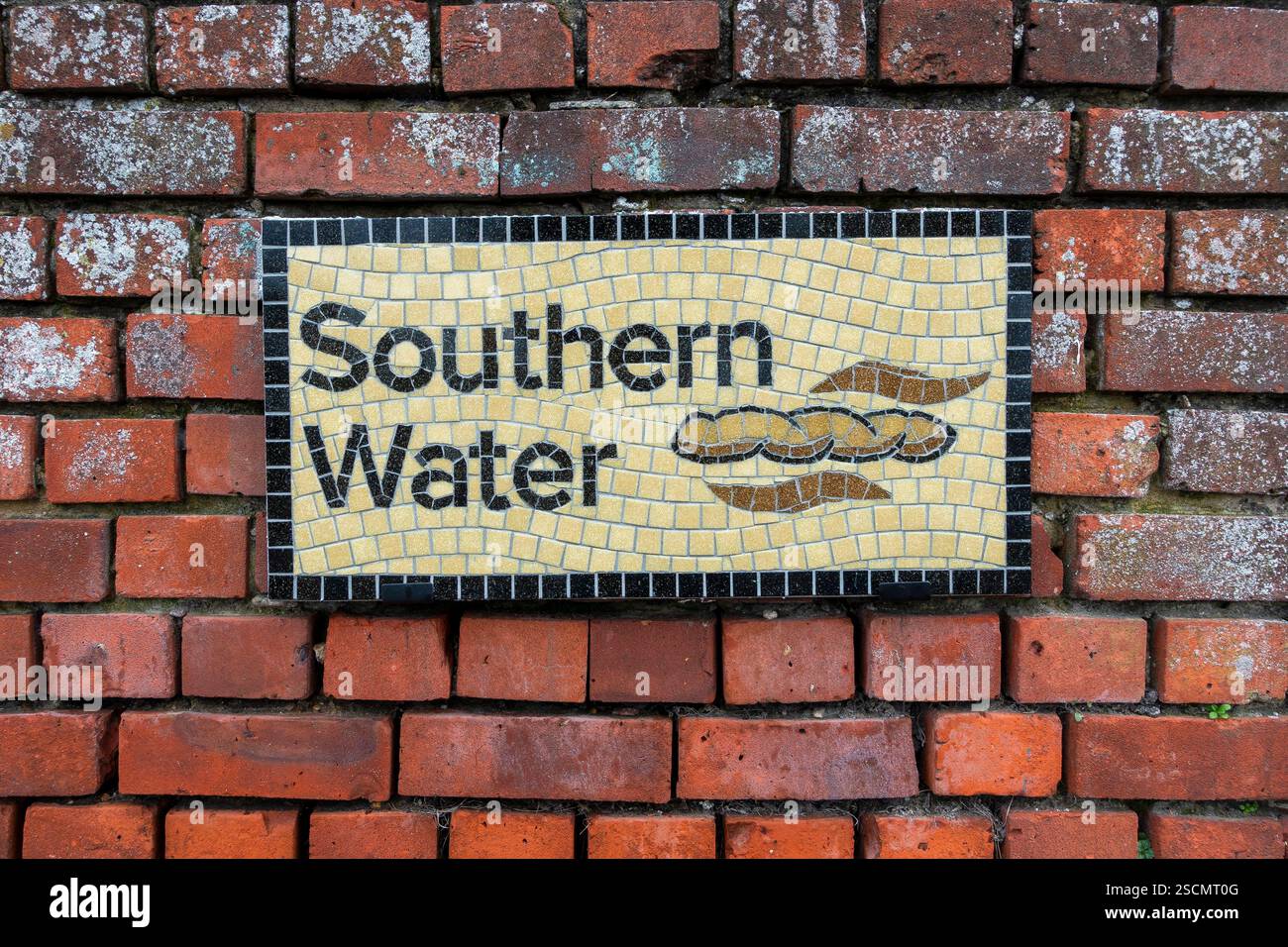 L'artista di Southampton Will Rosie, noto anche come "Mr Mosaic", ha creato un mosaico che ritrae il servizio di Southern Water, reinventando il suo logo con feci in mezzo a banconote in aumento Foto Stock