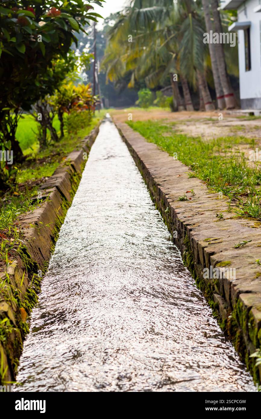 Si tratta di una linea d'acqua da cui viene disposta l'irrigazione nei campi di riso. Si tratta di un allevamento di riso dove il riso viene coltivato tutto l'anno Foto Stock