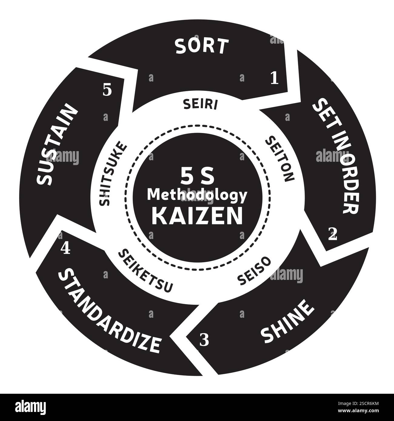 Illustrazione della metodologia 5 S - metodo Kaizen - standardizzazione ufficio aziendale - vettore 5 fasi Illustrazione Vettoriale