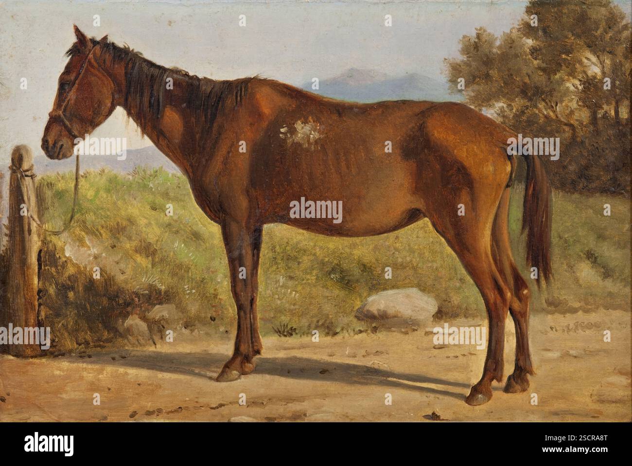 Rosinante (Studio di un vecchio cavallo in piedi), c1847. Foto Stock