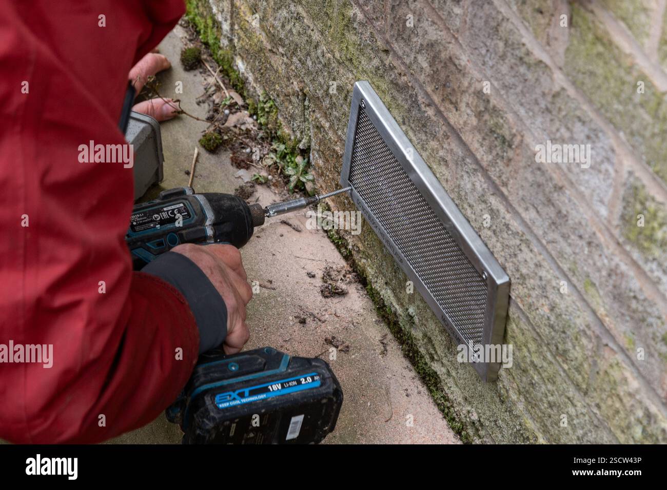 Un uomo che indossa una giacca rossa utilizzando un trapano elettrico per avvitare una copertura in rete di mattoni ad aria su una parete. La mesh impedisce ai topi di entrare nella proprietà. Foto Stock
