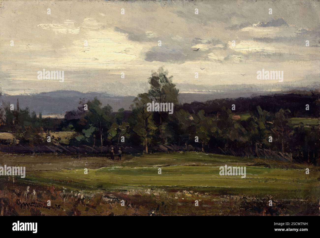 Campi a Hedmark nell'estate 1875. Foto Stock