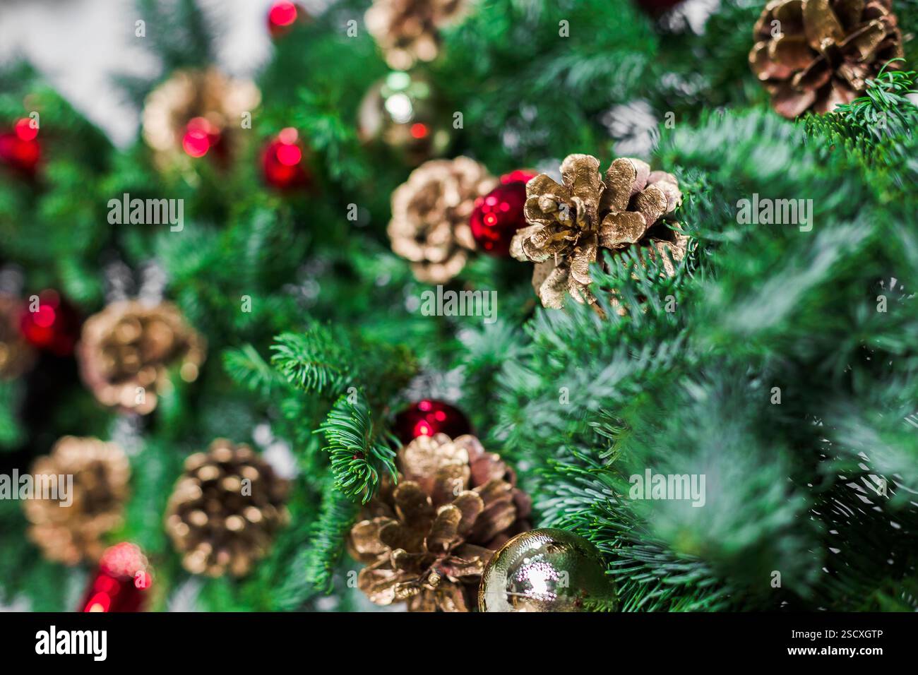 Rami decorativi di pino verde adornati con ornamenti rossi e coni di pino dorato durante le festività natalizie Foto Stock