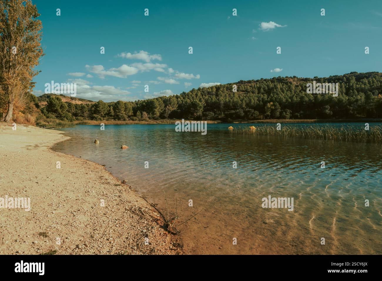 Parco naturale delle Lagunas de Ruidera, la zona umida più bella della penisola iberica, Ciudad Real, Castilla la Mancha, Spagna, Europa. Foto Stock