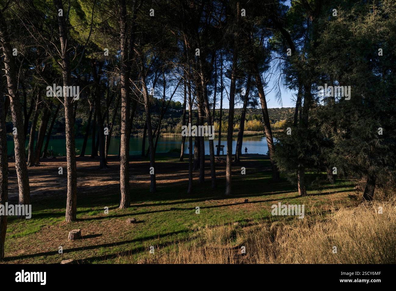 Parco naturale delle Lagunas de Ruidera, la zona umida più bella della penisola iberica, Ciudad Real, Castilla la Mancha, Spagna, Europa. Foto Stock