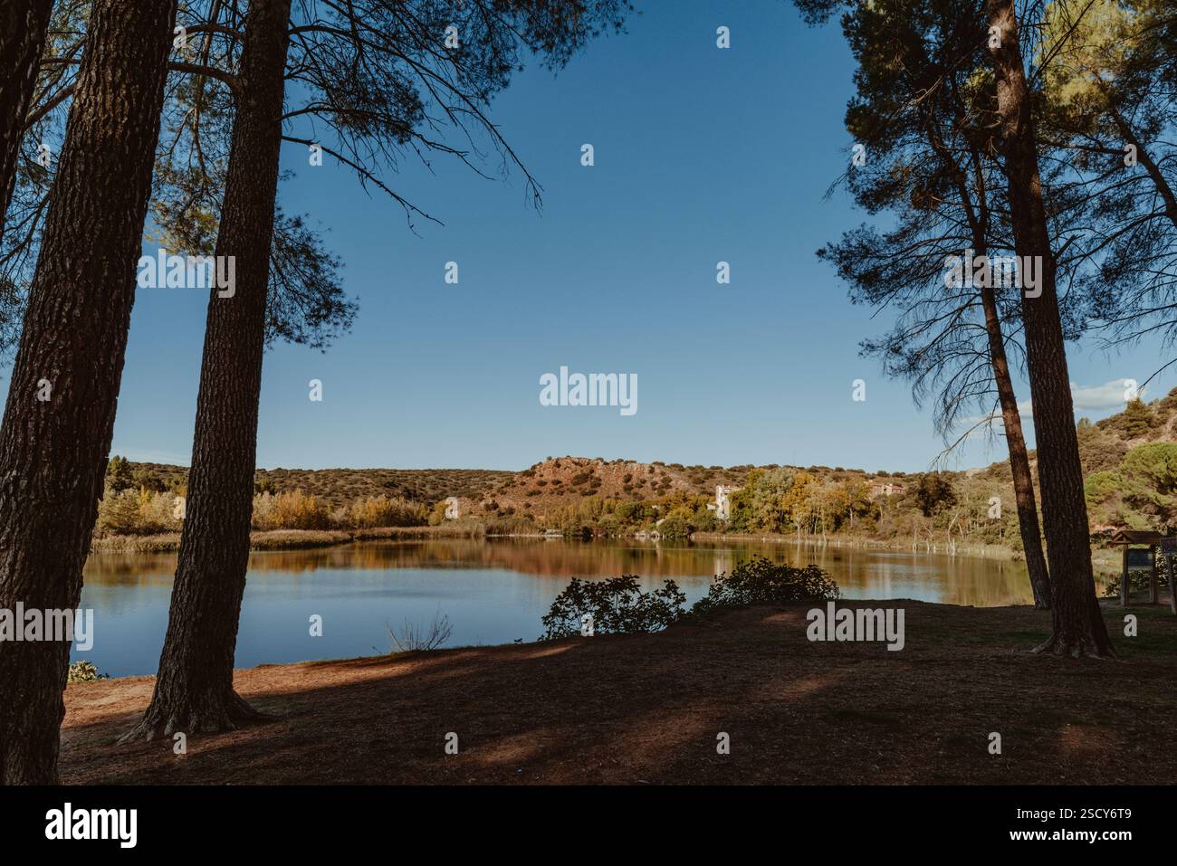 Parco naturale delle Lagunas de Ruidera, la zona umida più bella della penisola iberica, Ciudad Real, Castilla la Mancha, Spagna, Europa. Foto Stock