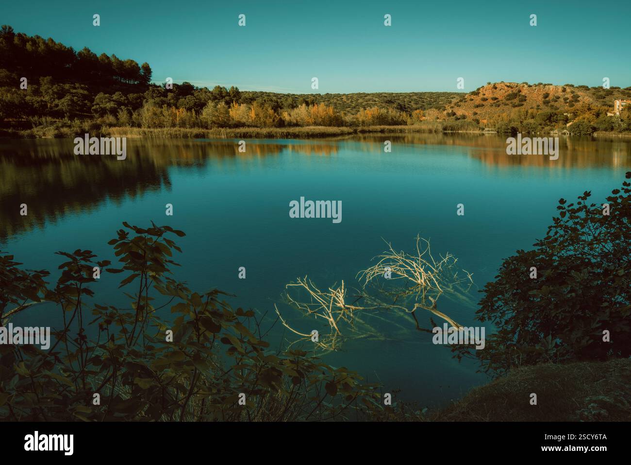 Parco naturale delle Lagunas de Ruidera, la zona umida più bella della penisola iberica, Ciudad Real, Castilla la Mancha, Spagna, Europa. Foto Stock