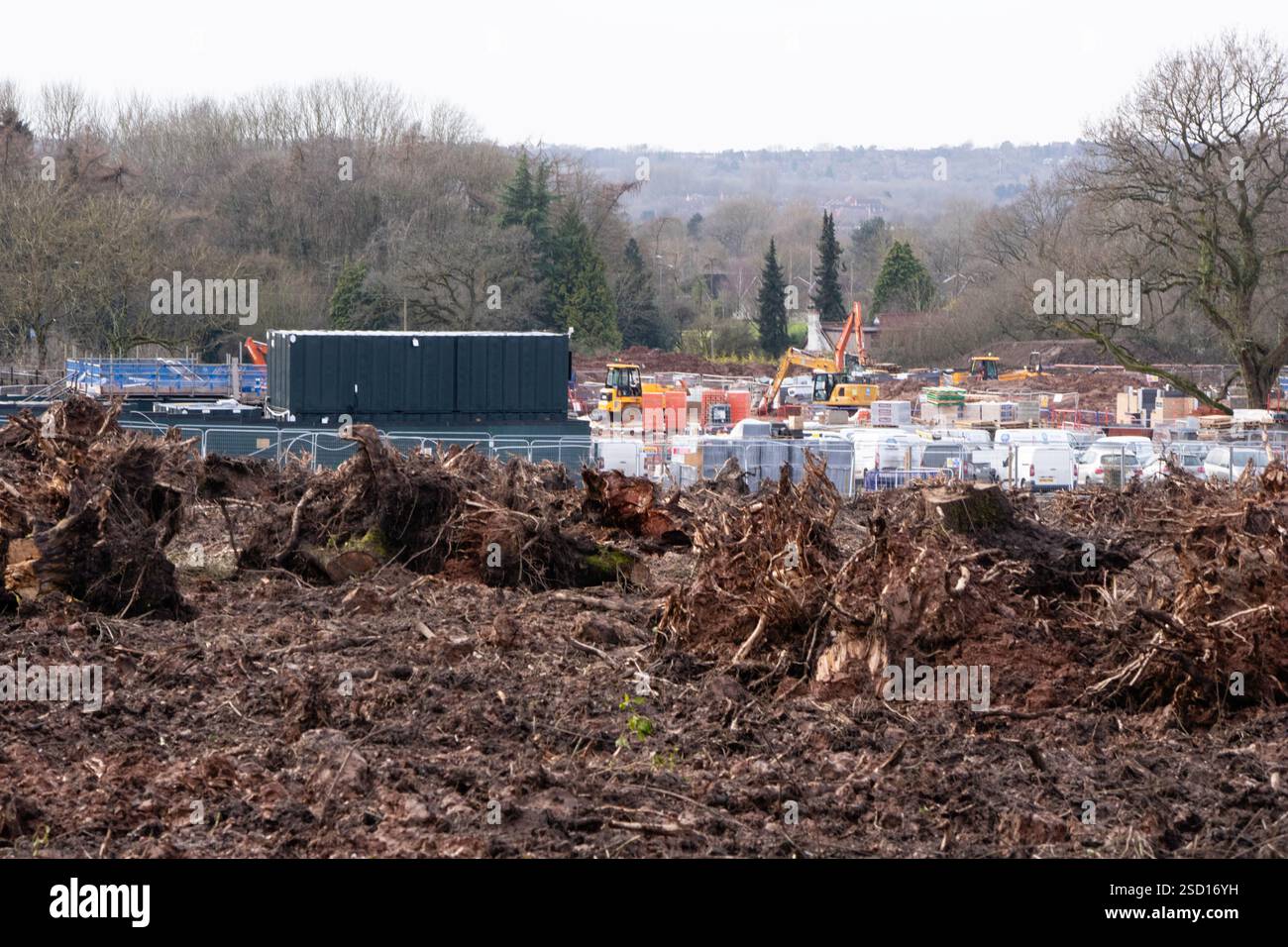 Terreno boschivo rimosso per lo sviluppo dell'alloggiamento. Redditch, Worcestershire, Inghilterra, Regno Unito Foto Stock