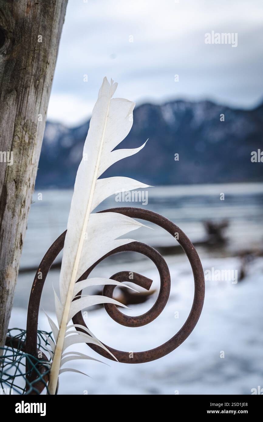 Piuma bianca combinata con oggetto metallico a spirale e legno Foto Stock