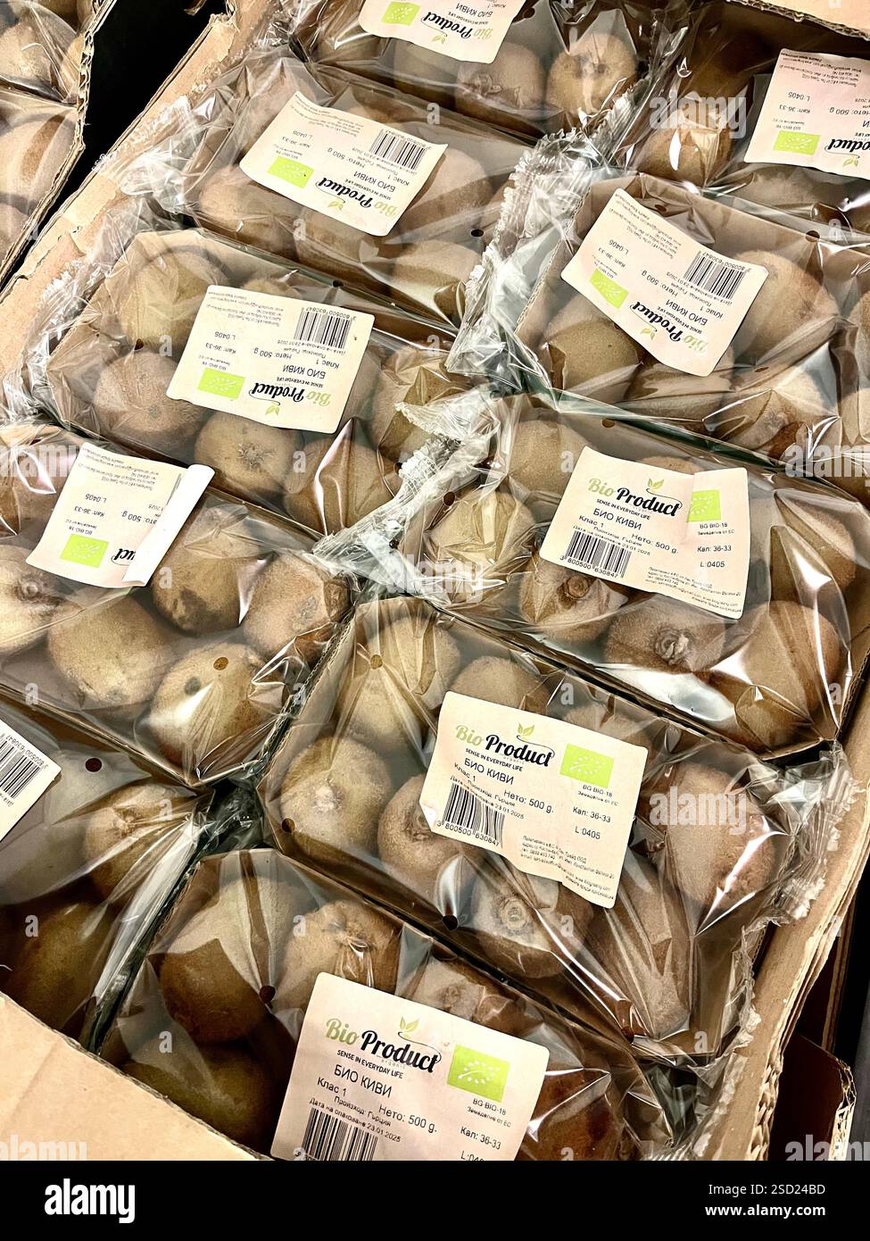 kiwi fruits, imballaggio in plastica, kiwi, involucro in plastica, frutta, magazzino, stoccaggio, agricoltura, approvvigionamento alimentare, distribuzione, catena di approvvigionamento Foto Stock