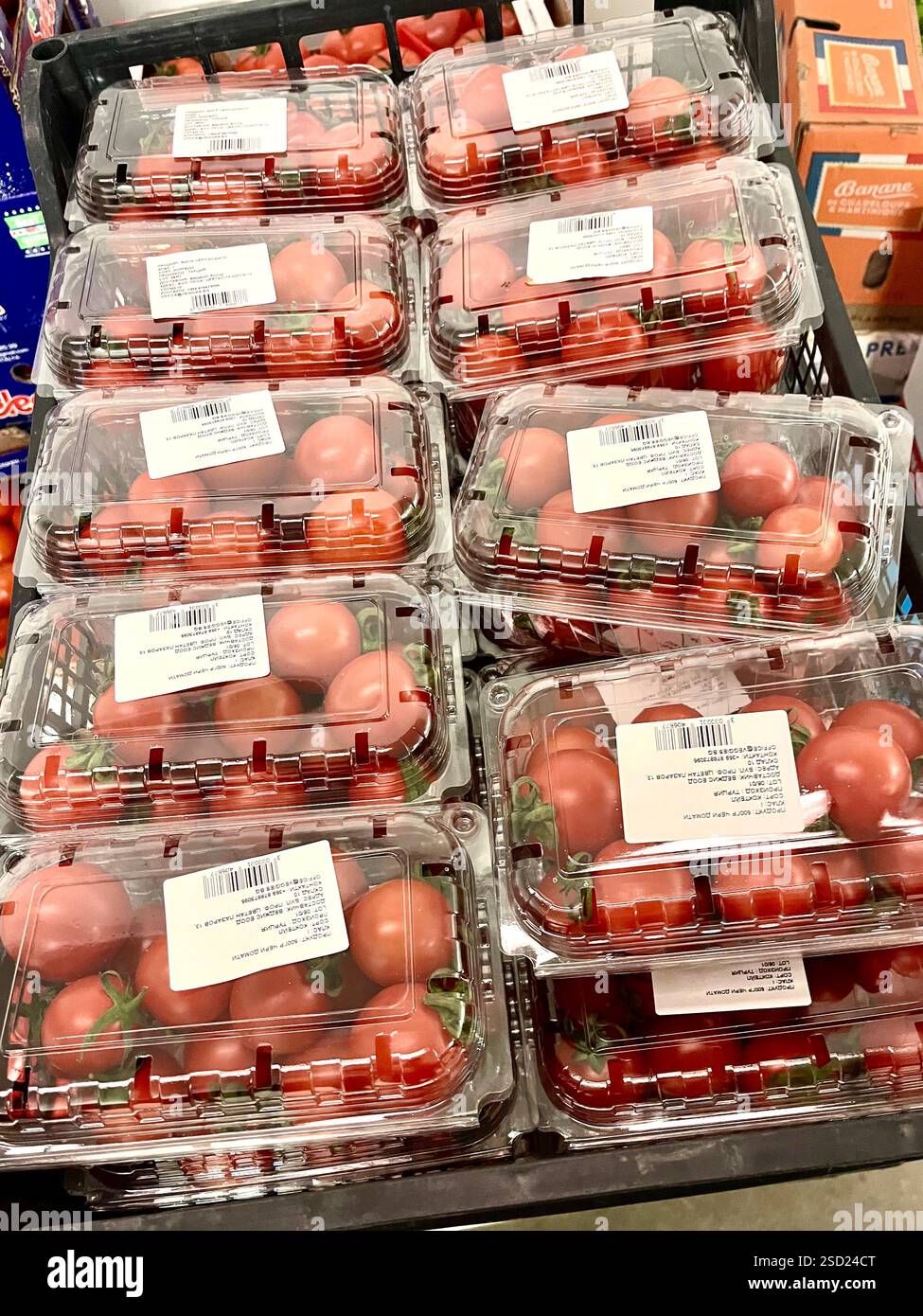 pomodori ciliegini in scatole di plastica, verdure, magazzino, conservazione, alimenti, agricoltura, approvvigionamento alimentare, stoccaggio di verdure, distribuzione, catena di approvvigionamento - Immagine stock catturata con smartphone