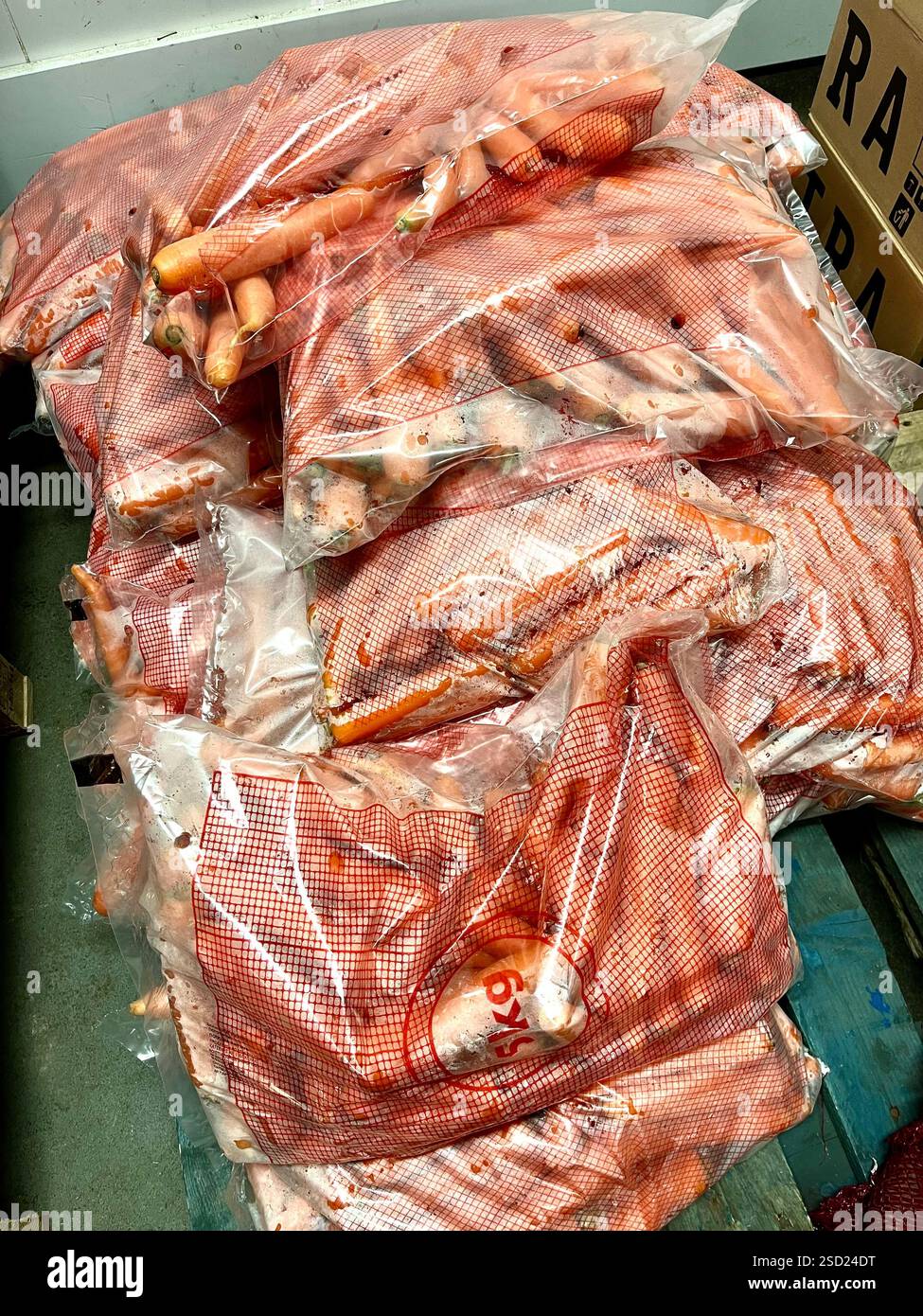 sacchetto di plastica per carote, abbondanza di carote, verdure, magazzino, stoccaggio, prodotti alimentari, agricoltura, approvvigionamento alimentare, stoccaggio di ortaggi, distribuzione, catena di approvvigionamento - Immagine stock catturata con smartphone