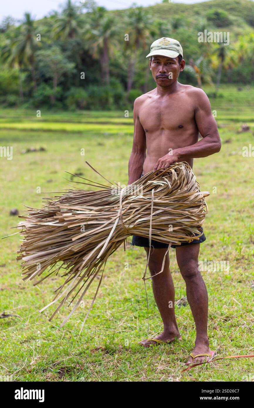 Un uomo raccoglie foglie di pandano tagliate ed essiccate per tessere su tappeti locali a Bohol, Filippine, sostenendo un'industria artigianale vitale basata sulla comunità Foto Stock