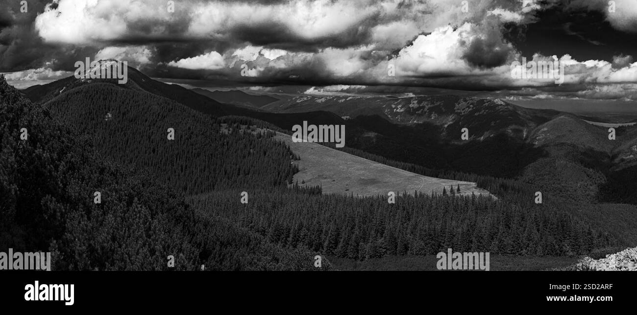 La profonda foresta circostante la valle crea una sensazione di isolamento e assorbimento naturale. Foto Stock