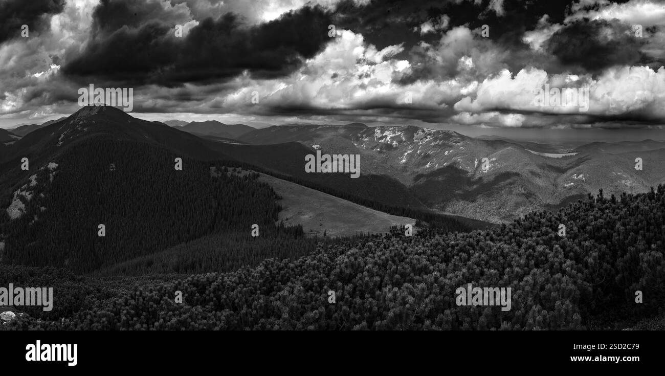 La profonda foresta circostante la valle crea una sensazione di isolamento e assorbimento naturale. Foto Stock