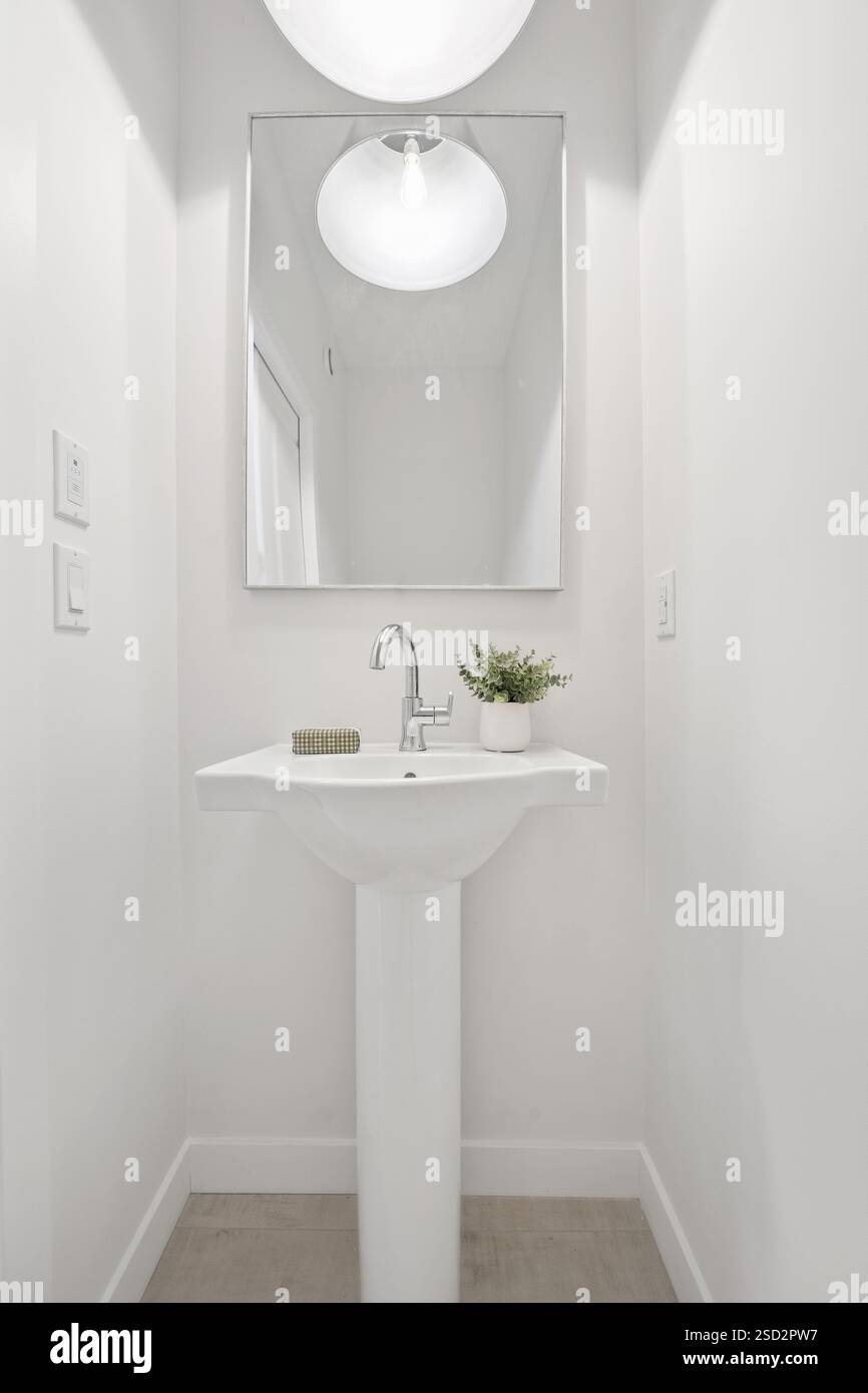 Piccolo bagno con lavabo bianco e specchio d'argento. Il lavandino è posizionato sotto lo specchio e sul bancone è presente una pianta in vaso. Il bagno Foto Stock