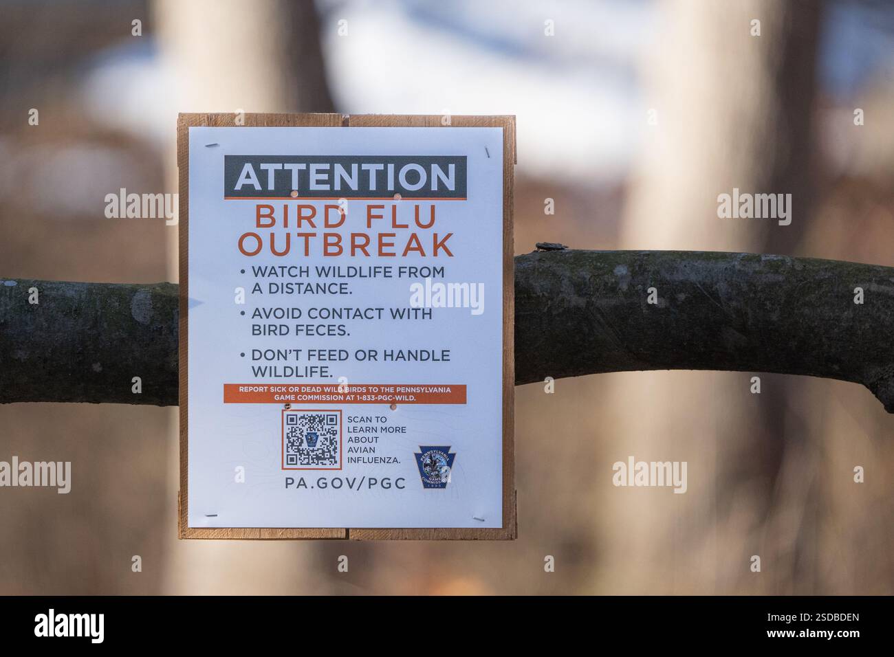 Contea di Lancaster, Pennsylvania, 4 febbraio 2025: Segnalate ai visitatori dell'area di gestione della fauna selvatica di Middle Creek l'epidemia di influenza aviaria nelle nevi Foto Stock Contea di Lancaster, Pennsylvania, 4 febbraio 2025: Segnalate ai visitatori dell'area di gestione della fauna selvatica di Middle Creek l'epidemia di influenza aviaria nelle nevi Foto Stock