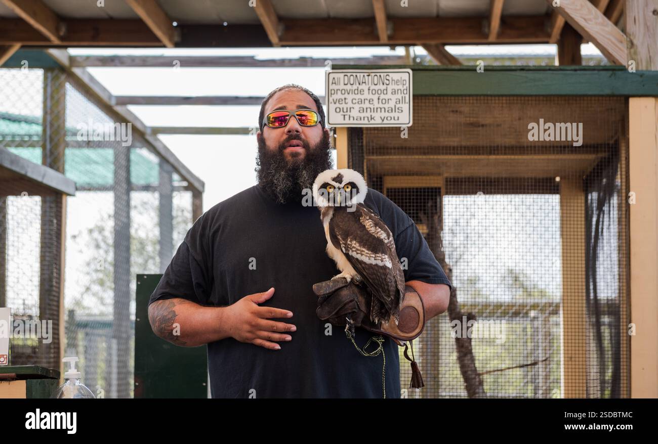 Weston, Florida USA - 25 agosto 2018: Incontro con gli animali con il gufo spettrale al Sawgrass Recreation Park, un'attrazione che offre escursioni in idroscivolante nell'Evergl Foto Stock