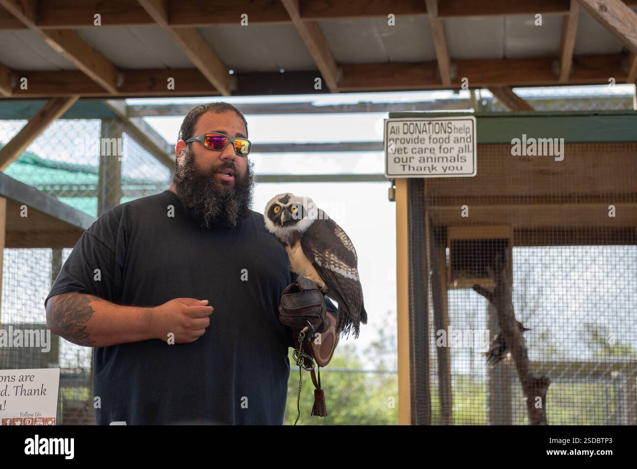 Weston, Florida USA - 25 agosto 2018: Incontro con gli animali con il gufo spettrale al Sawgrass Recreation Park, un'attrazione che offre escursioni in idroscivolante nell'Evergl Foto Stock