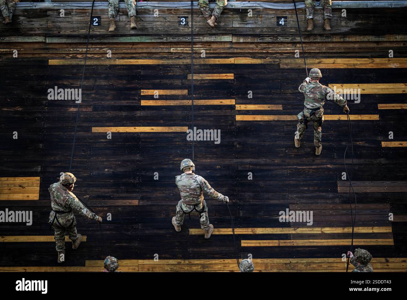 Drill Sergeant candidate con il 4° plotone, classe 004-25, calpestano una torre di 40 piedi come parte dei loro requisiti di laurea per la United States Army Drill Sergeant Academy a Fort Jackson, SC, 28 gennaio 2025. (Foto dell'esercito degli Stati Uniti di staff Sgt. Dana Clarke) Foto Stock