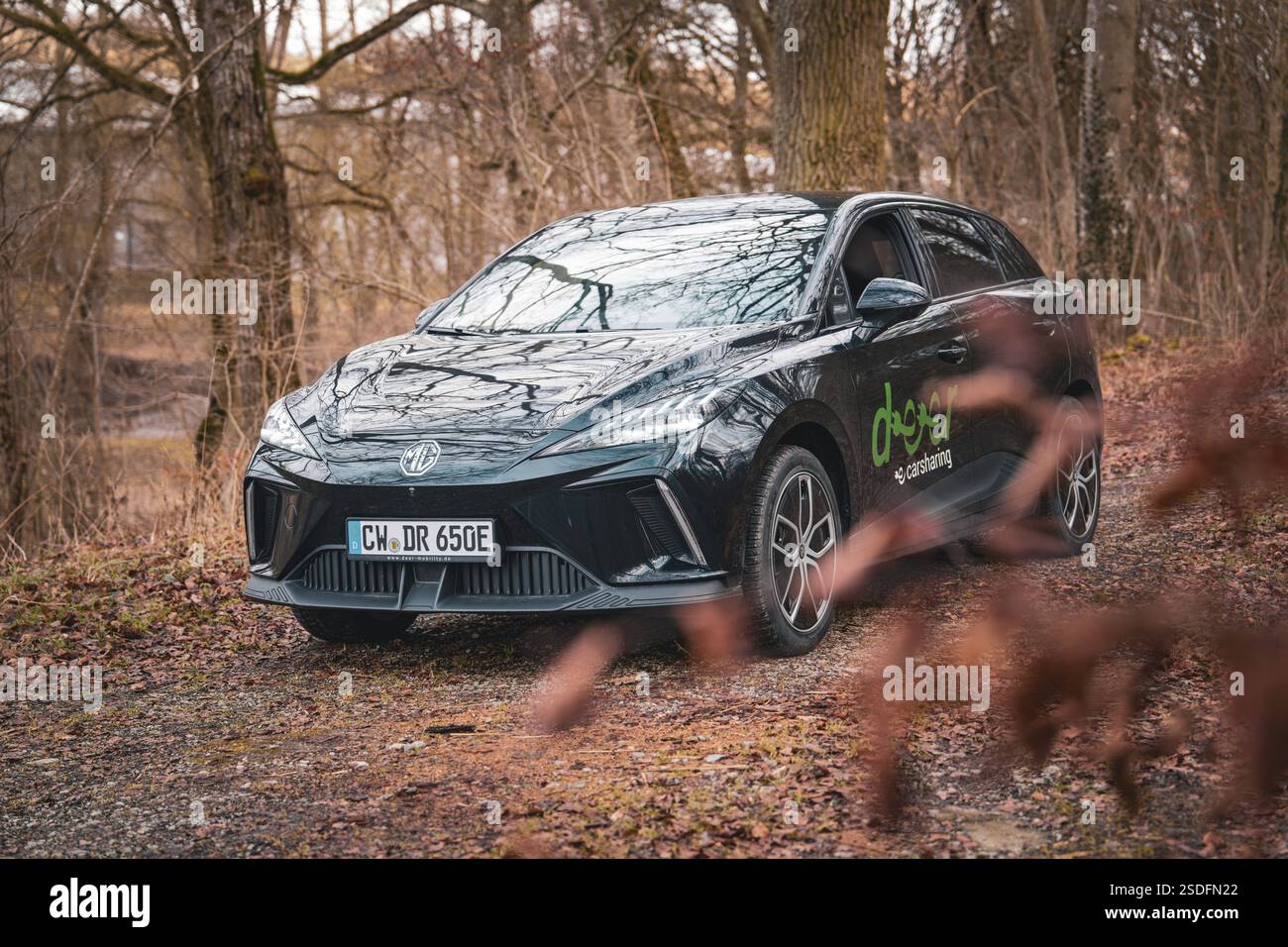 Auto elettrica nera parcheggiata nella foresta autunnale, veicolo di condivisione auto elettrica di Deer Mobility, Gechingen, Foresta Nera, Germania, Europa Foto Stock
