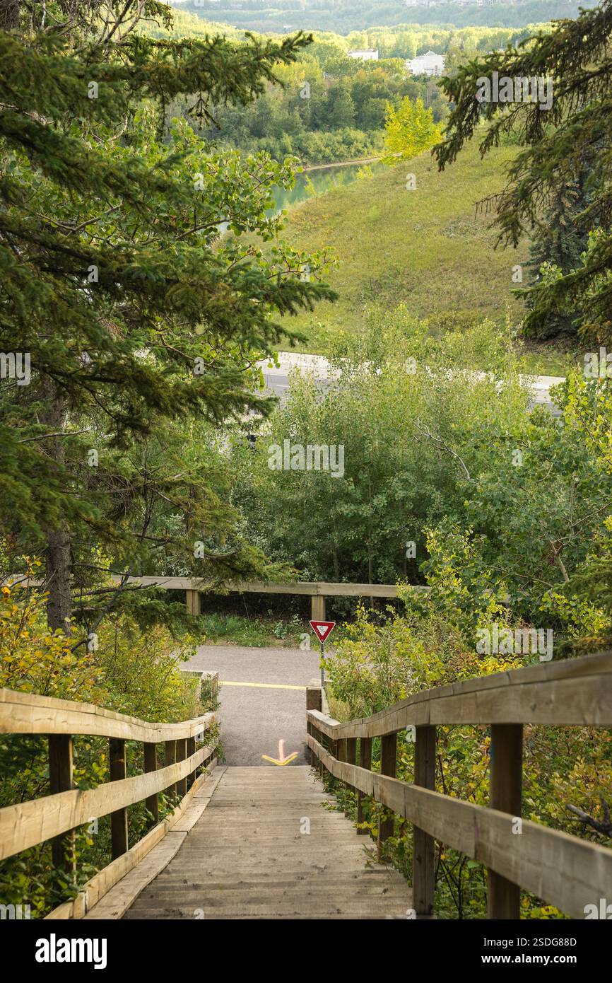 Area del parco cittadino con vista sulla valle del fiume Saskatchewan settentrionale, Edmonton Foto Stock