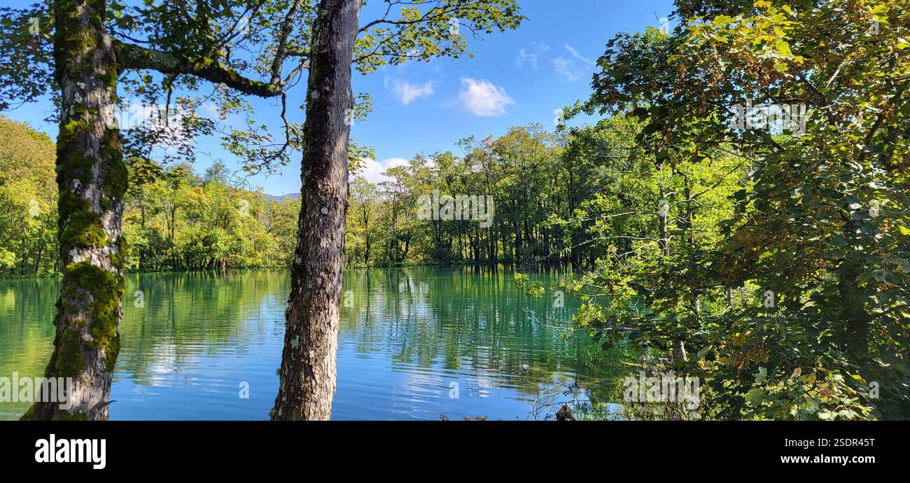 Un tranquillo lago circondato da lussureggianti alberi verdi e un cielo blu con soffici nuvole nel Parco Nazionale dei Laghi di Plitvice, Croazia. - Immagine stock catturata con smartphone