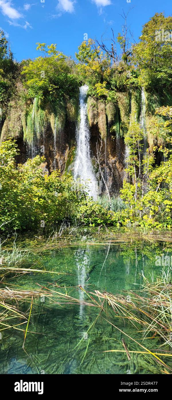 Una cascata si tuffa in un laghetto cristallino, circondato da una vegetazione lussureggiante nel Parco Nazionale dei Laghi di Plitvice, Croazia. Foto Stock