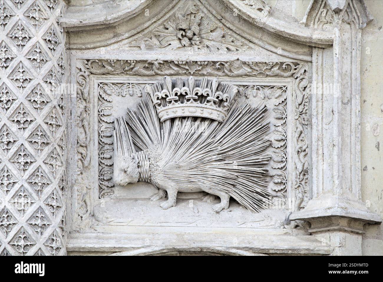 Un dettagliato rilievo in pietra caratterizzato da un porcospino coronato che mostra l'intricata maestria artigianale di Blois. Foto Stock