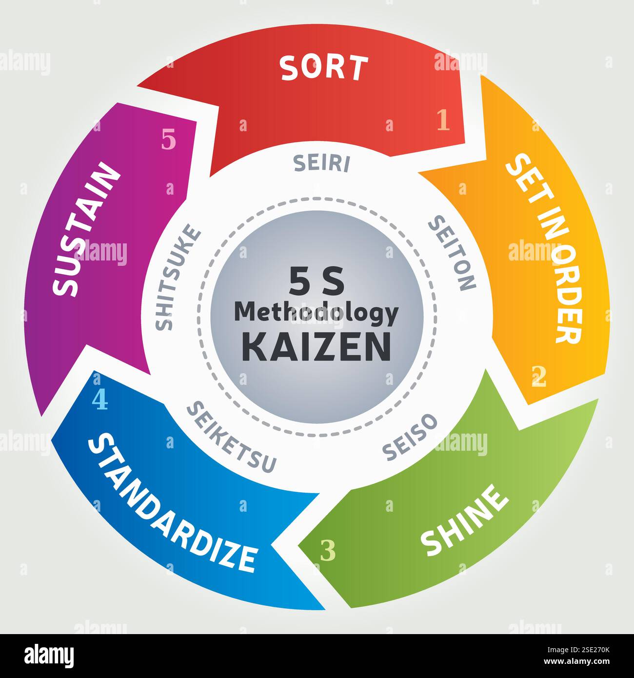 Illustrazione della metodologia 5 S - metodo Kaizen - standardizzazione ufficio aziendale - vettore 5 fasi Illustrazione Vettoriale