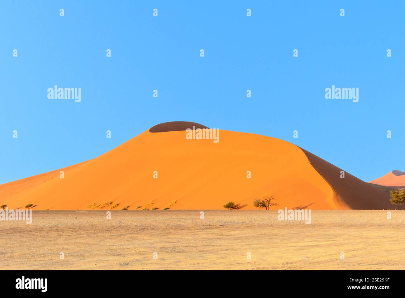 Duna 45, una duna di sabbia gigante, sulla strada tra Sossusvlei e Dead Vlei nel Namib-Nuakluft Park, deserto del Namib, Namibia Foto Stock