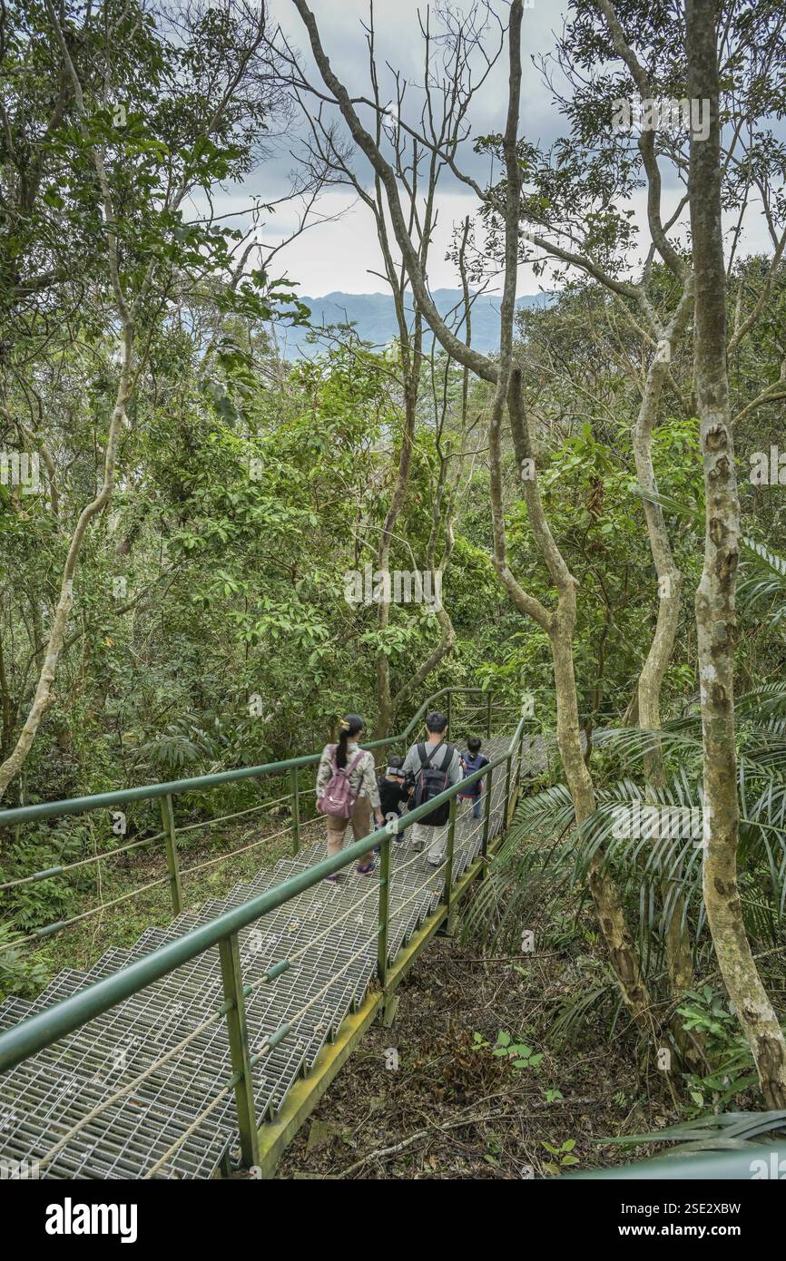 Sentiero escursionistico per Mount Liyu, foresta pluviale tropicale nell'area ricreativa della foresta nazionale di Chinan, Shoufeng Township, Hualien County, Taiwan, Asia Foto Stock