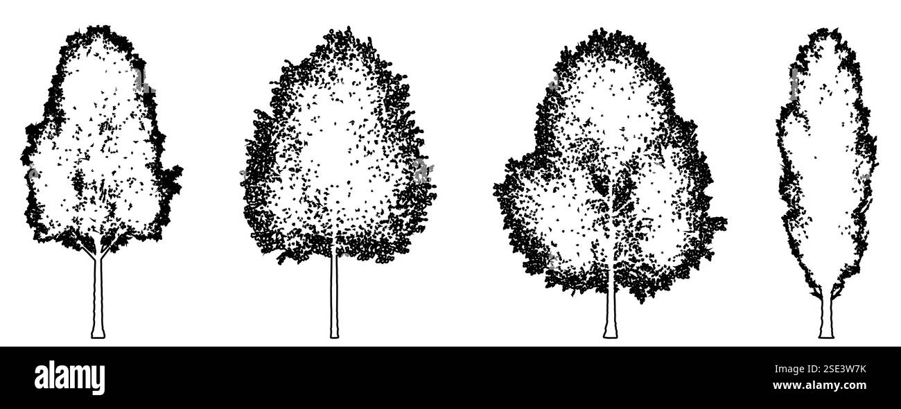 Set o collezione di alberi di pioppo nero come linea nera disegnando silhouette su sfondo bianco. Concetto o vettore concettuale per la natura, il pianeta. Illustrazione Vettoriale Set o collezione di alberi di pioppo nero come linea nera disegnando silhouette su sfondo bianco. Concetto o vettore concettuale per la natura, il pianeta. Illustrazione Vettoriale