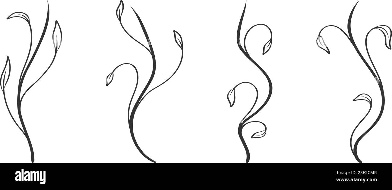 illustrazioni botaniche disegnate a mano di varie foglie. Illustrazione vettoriale Illustrazione Vettoriale