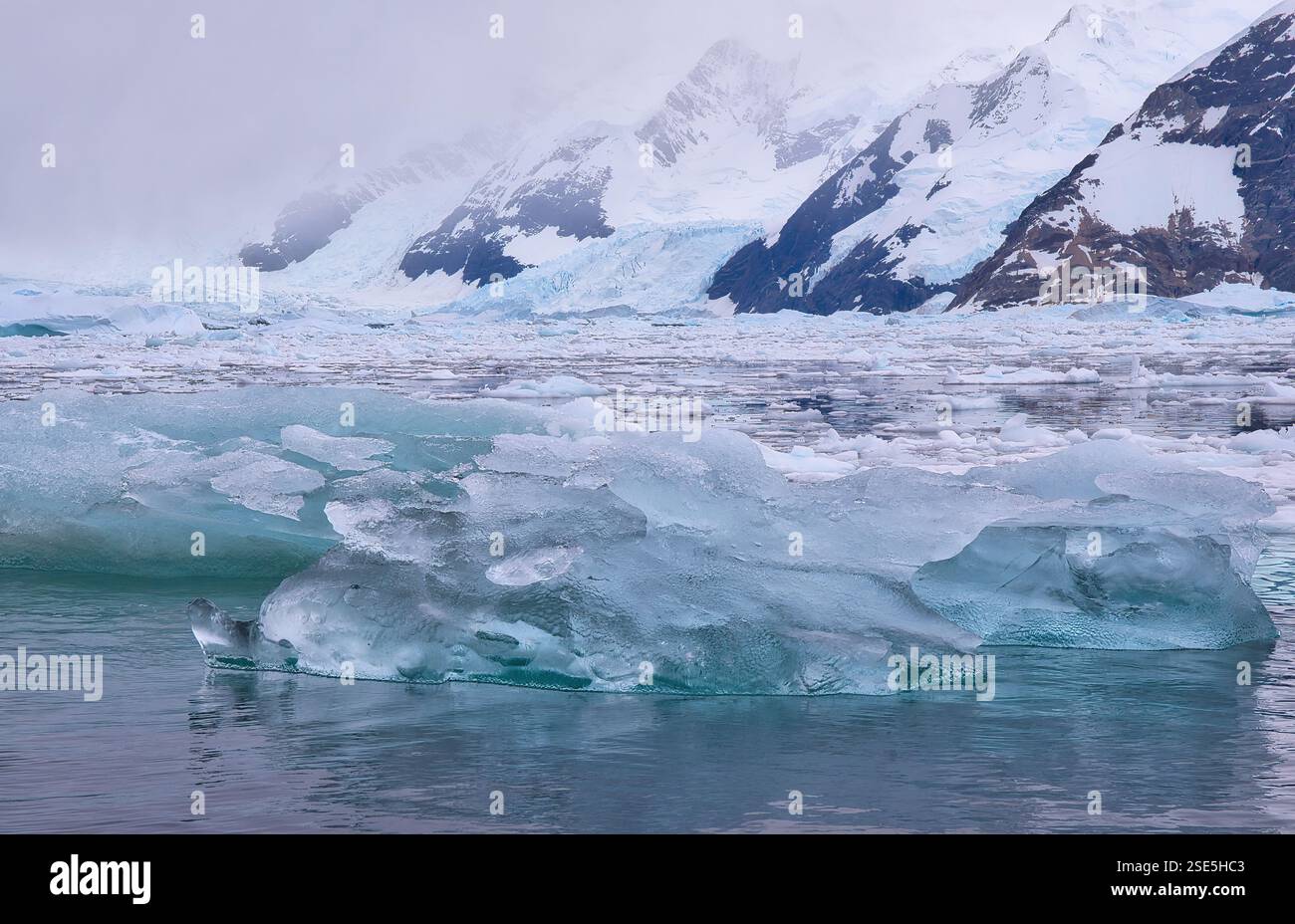 Sculture naturali di iceberg in Antartide. Foto Stock