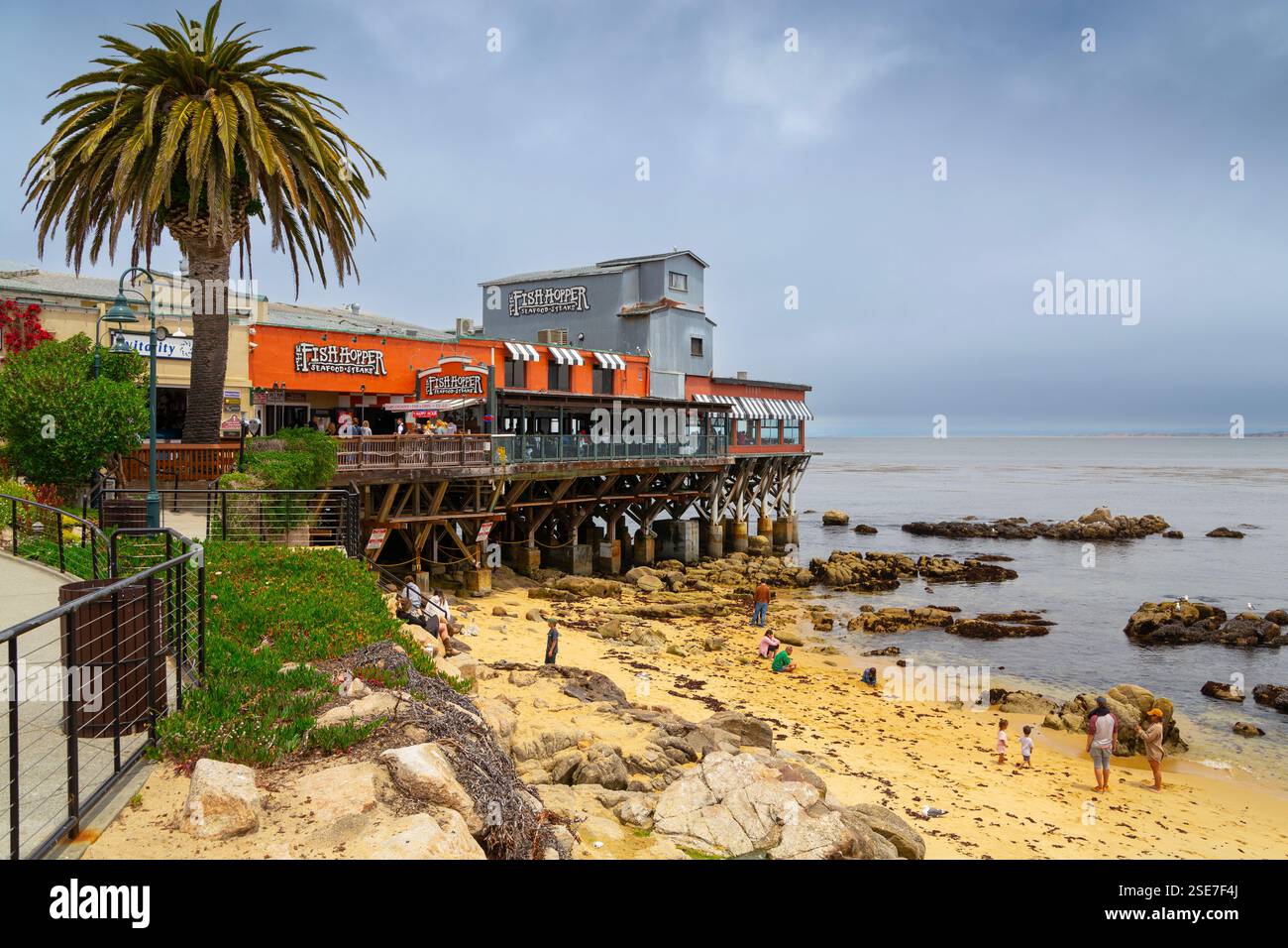 Monterey, USA, 3 giugno 2024 Aquarium on the Pacific Ocean Foto Stock