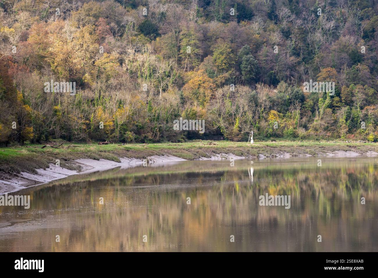Gli alberi mostrano i colori autunnali nella riserva naturale nazionale di Leigh Woods dall'altra parte dell'estuario del fiume Avon dalla città di Bristol in Inghilterra. Foto Stock