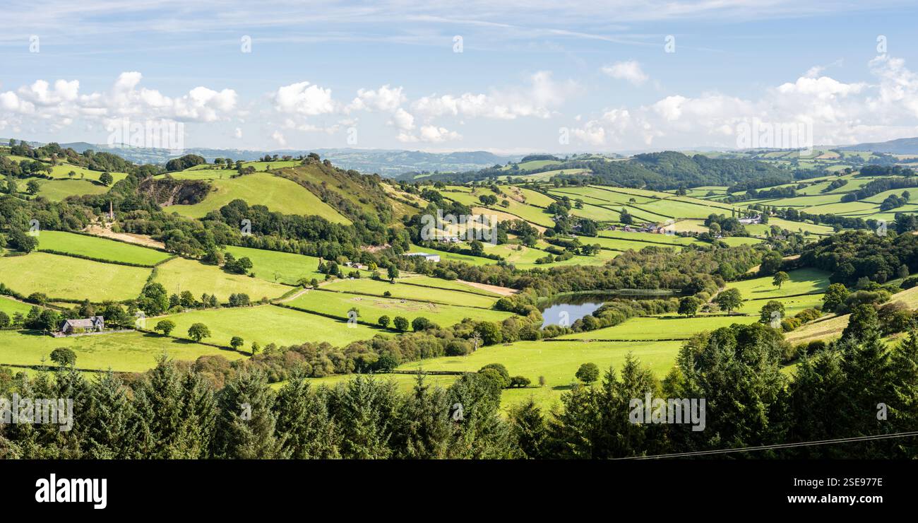 Pascoli e boschi sparsi coprono le colline e le valli vicino a Llanidloes nel Galles centrale. Foto Stock