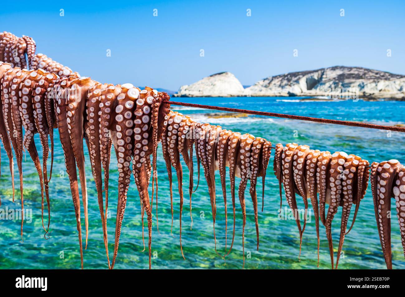 Stringhe di polpo appese al sole fuori dalla taverna nel villaggio di Mandrakia, nell'isola di Milos, nelle Cicladi, in Grecia Foto Stock