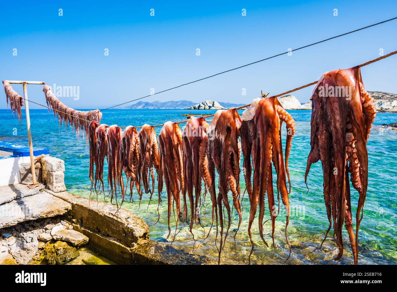 Stringhe di polpo appese al sole fuori dalla taverna nel villaggio di Mandrakia, nell'isola di Milos, nelle Cicladi, in Grecia Foto Stock